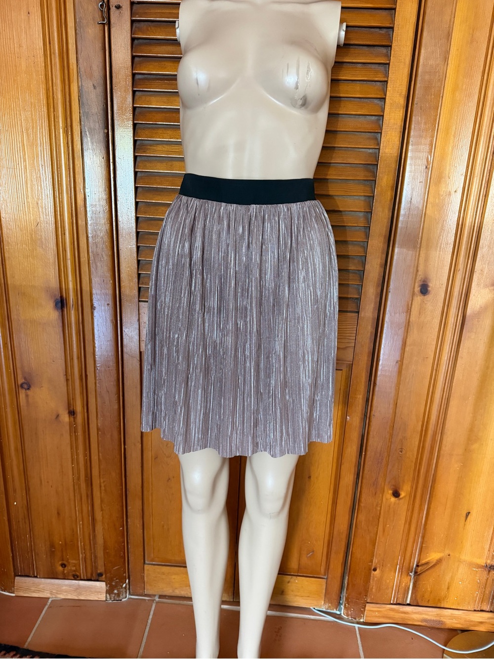 BCBGeneration Metallic Pleated Skirt NWT Size Large